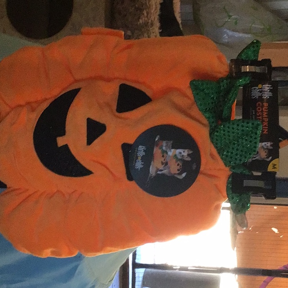 This is a pumpkin costume,size med